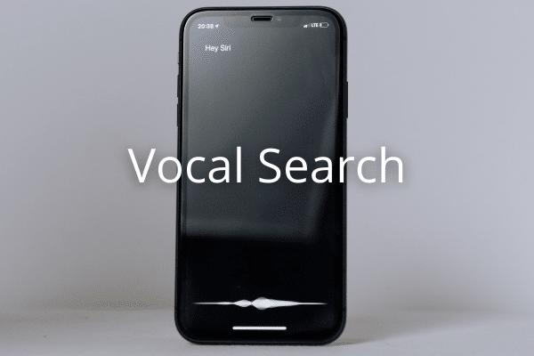 vocal search